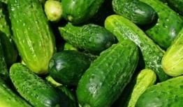 山东郓城大瓜爆料视频,揭秘背后惊人真相