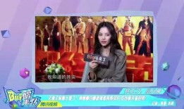 红叶姐姐爆料视频大全下载,揭秘幕后真相，带你领略娱乐圈风云